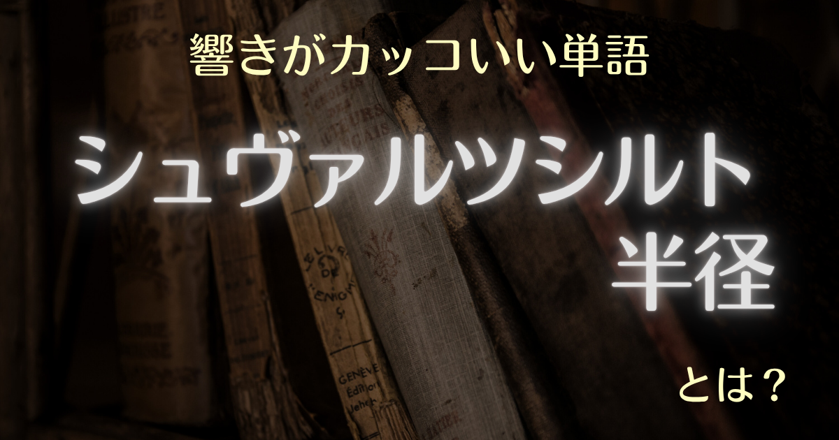 響きがカッコいい単語 シュヴァルツシルト半径とは？